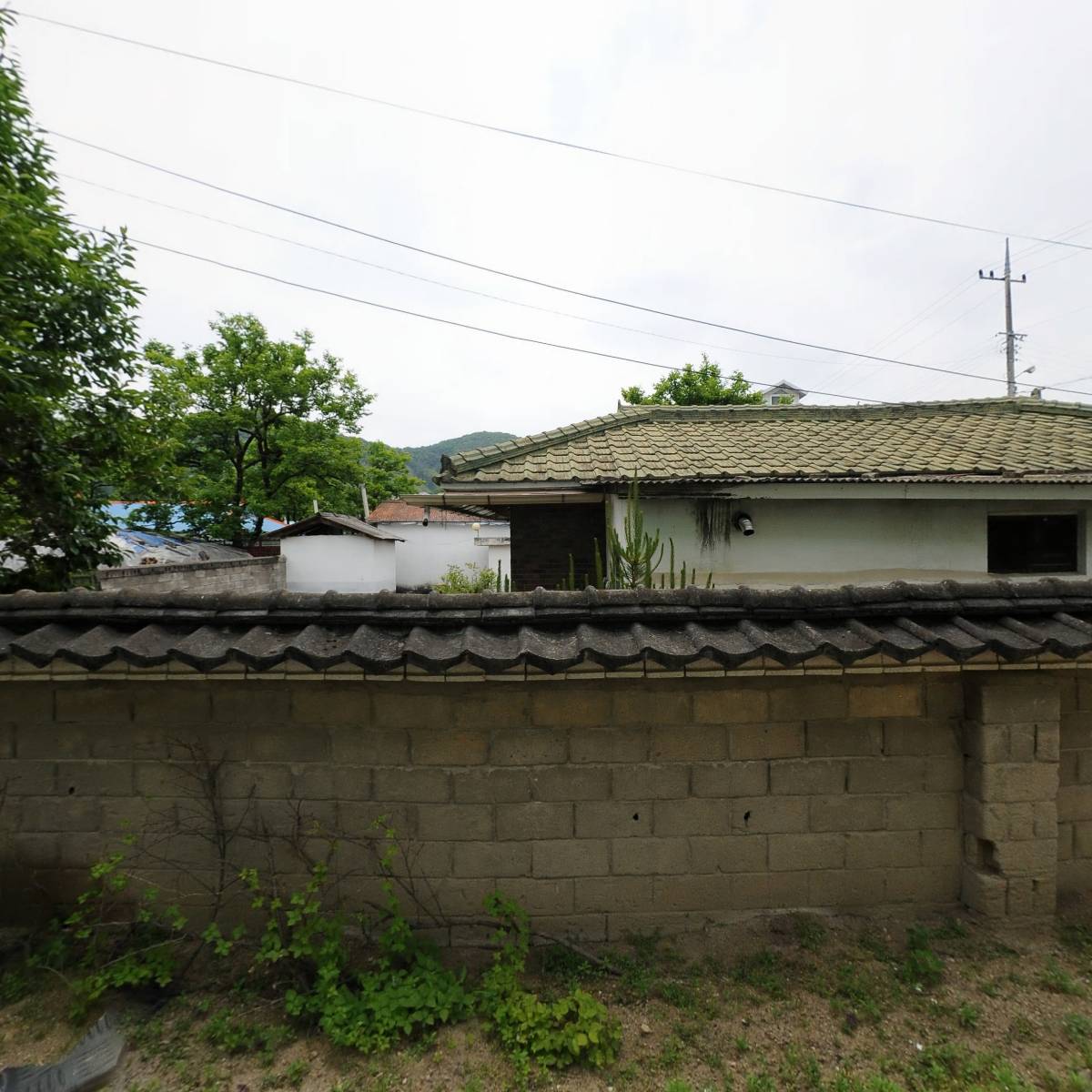 영동농협 심천지점