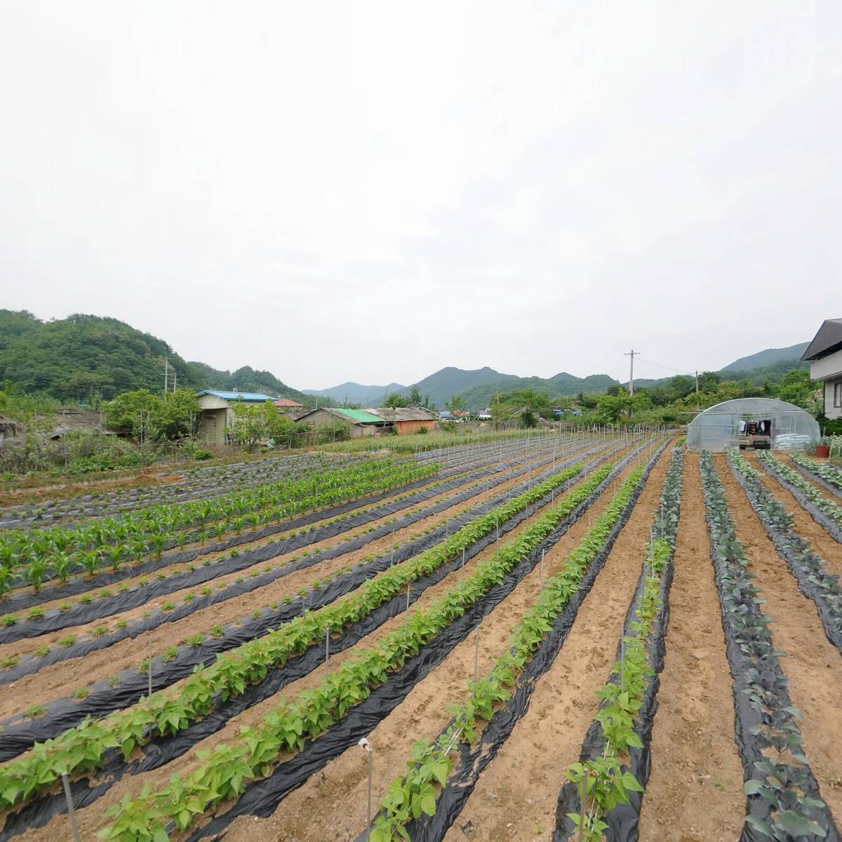 주식회사영광종합상사_3