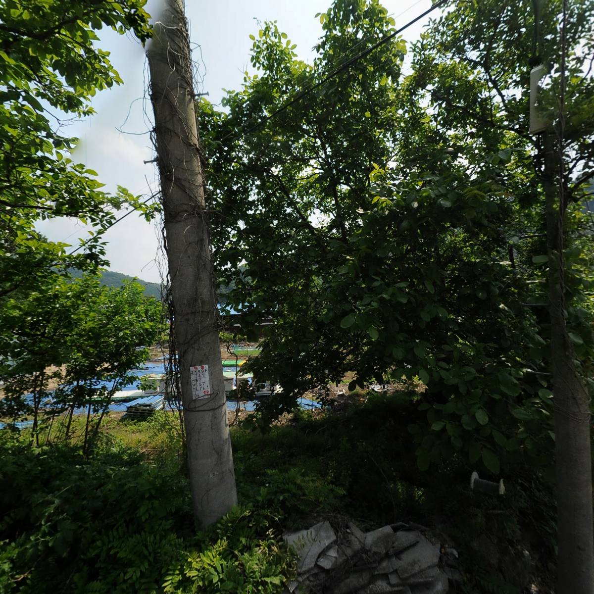 어부네흑염소농장건강원_3