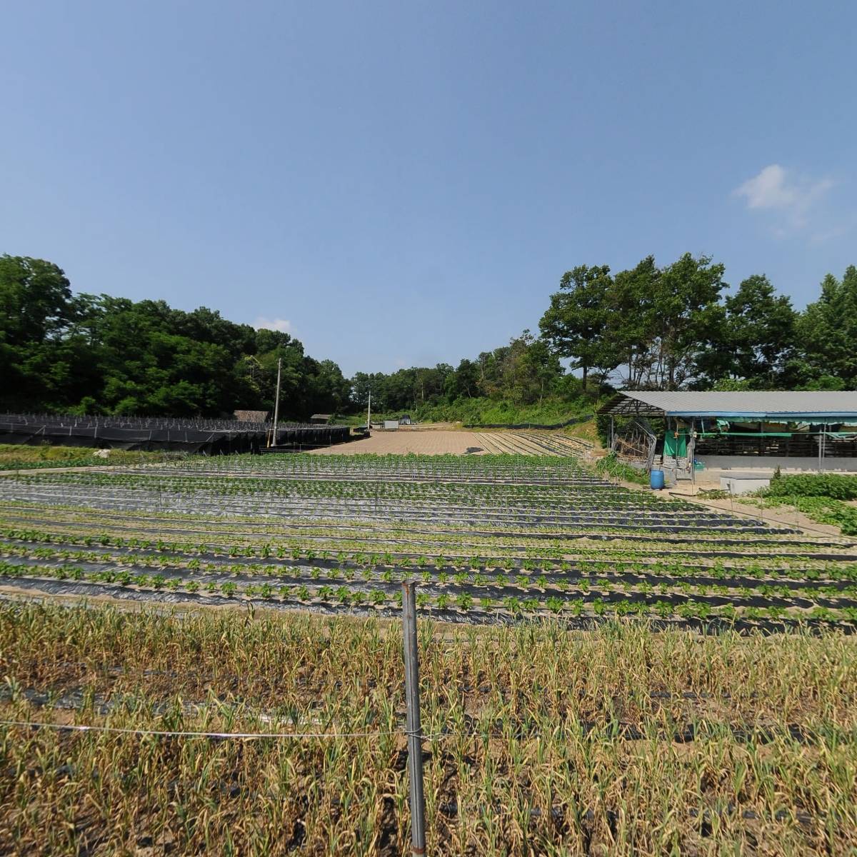 삼보건설