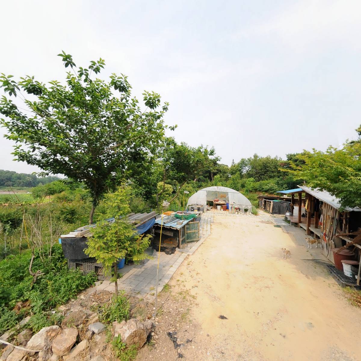 진주태양광발전소