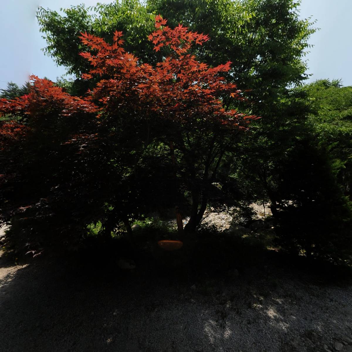 산골농원_3