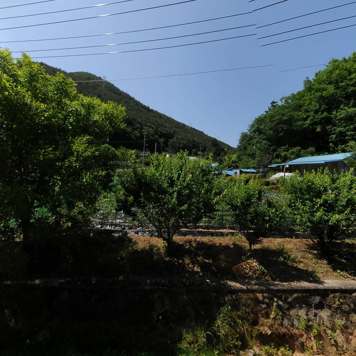 이룸농장_3