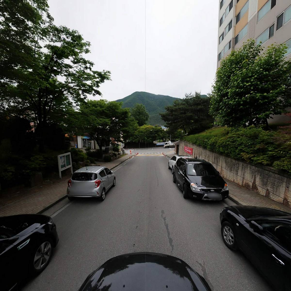 진용모자_4