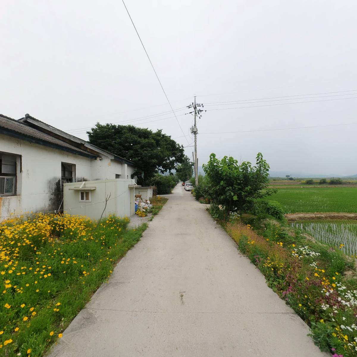 송향_2