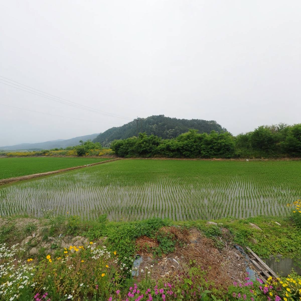 송향_3