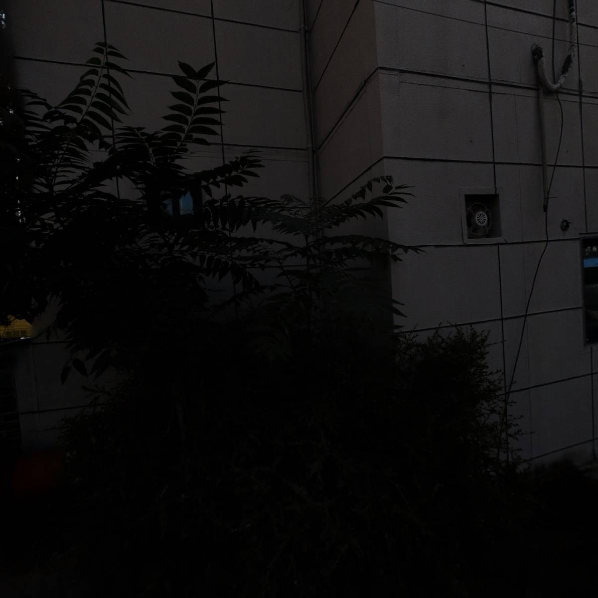 (주)세진종합건설_3