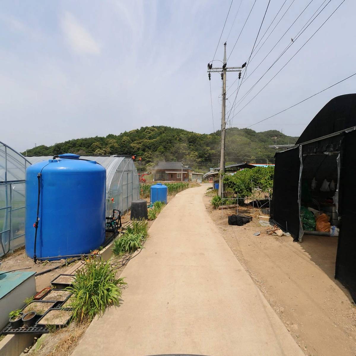 홍림양묘장_2