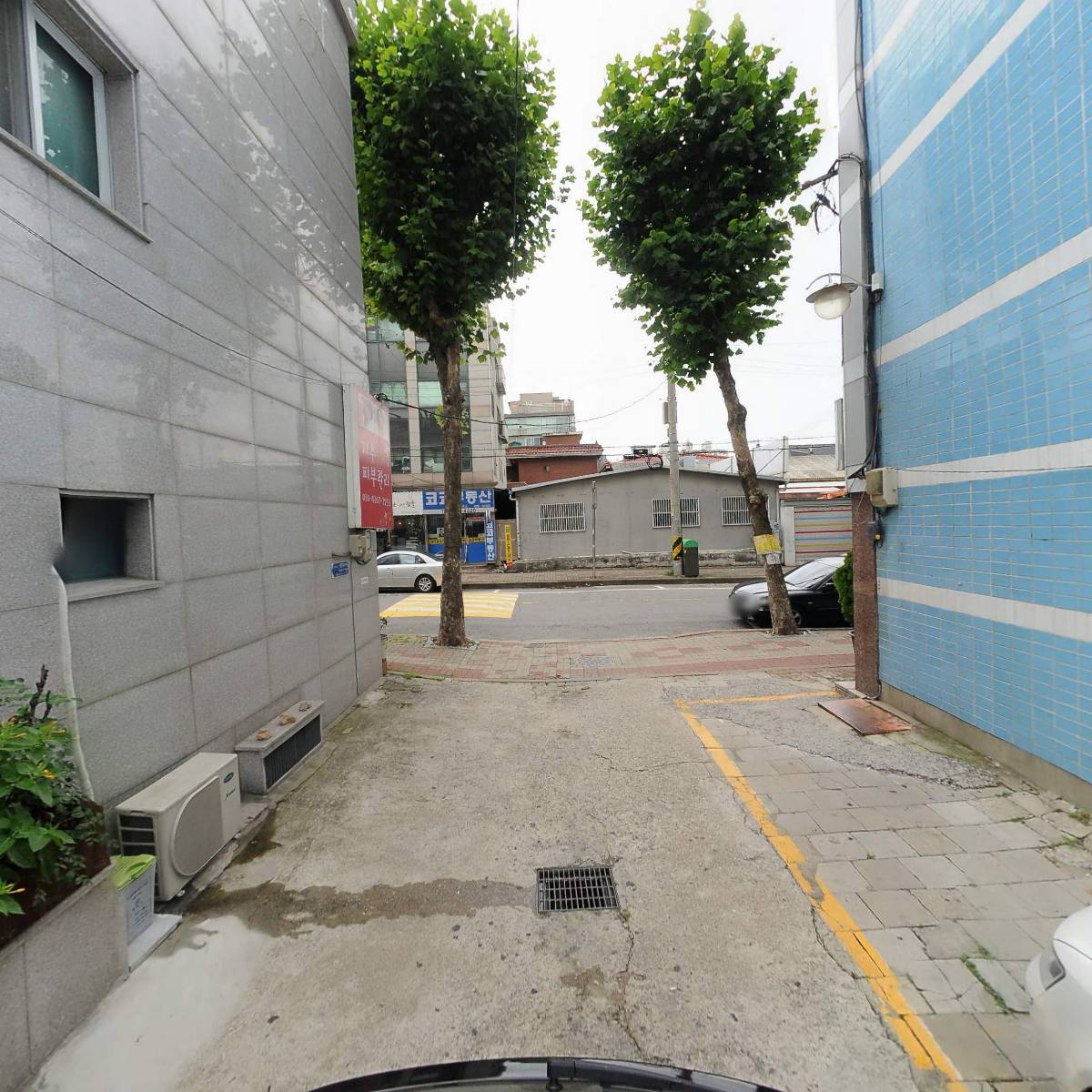 센토（cento）_2
