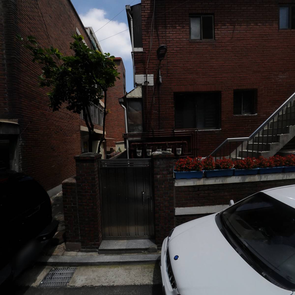 위시펫_3