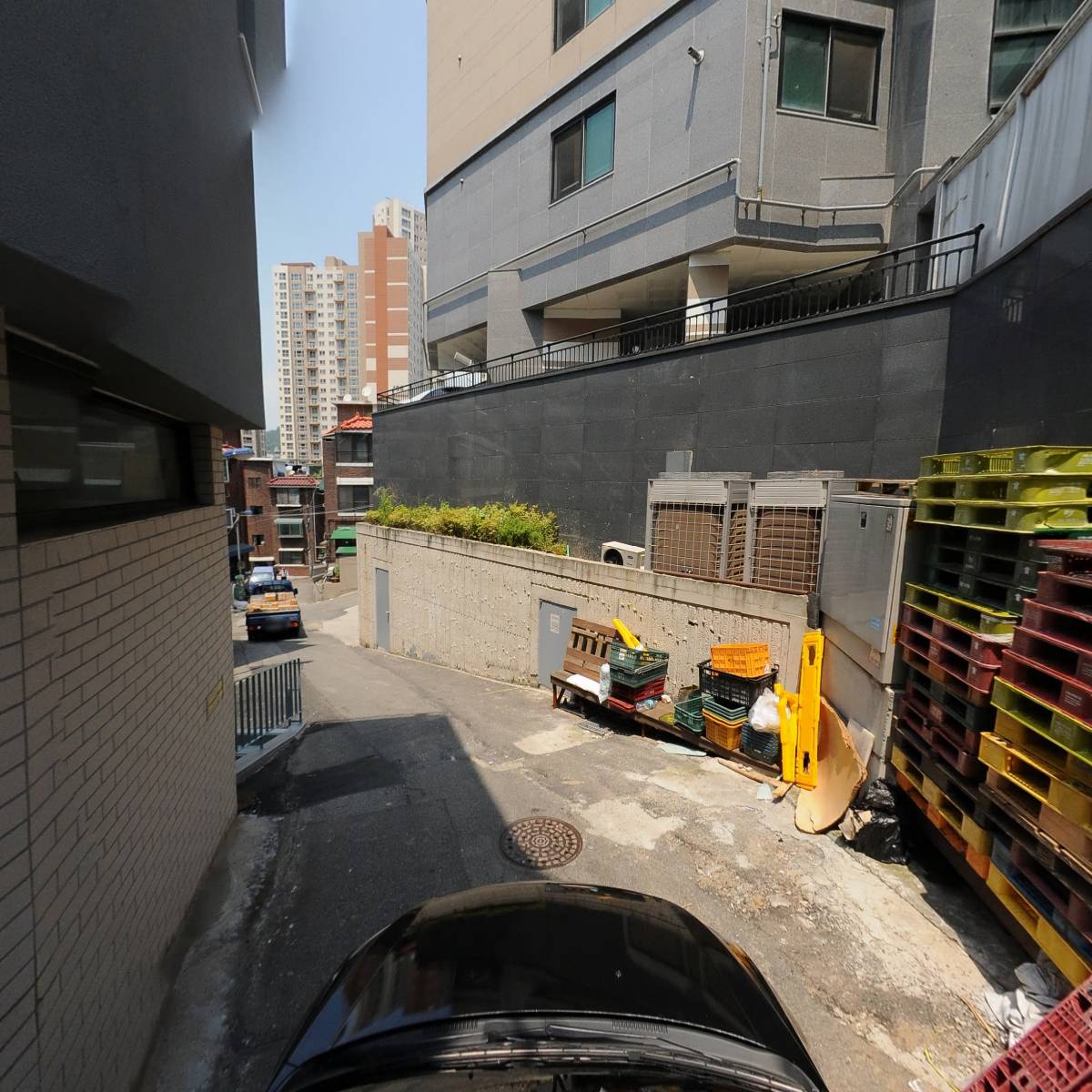 태양할인마트내 수산물_4