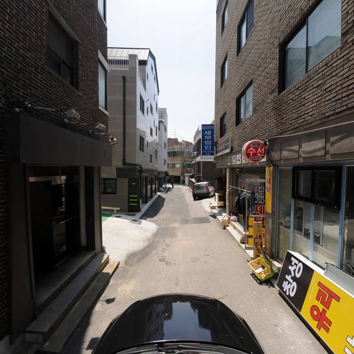 마젠타_4