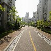 세이프스킨_2