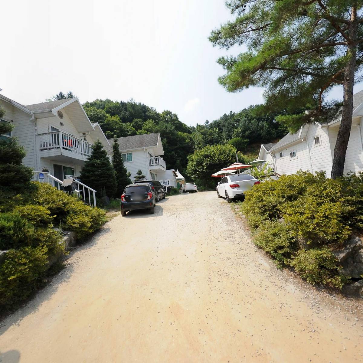 화이트빌