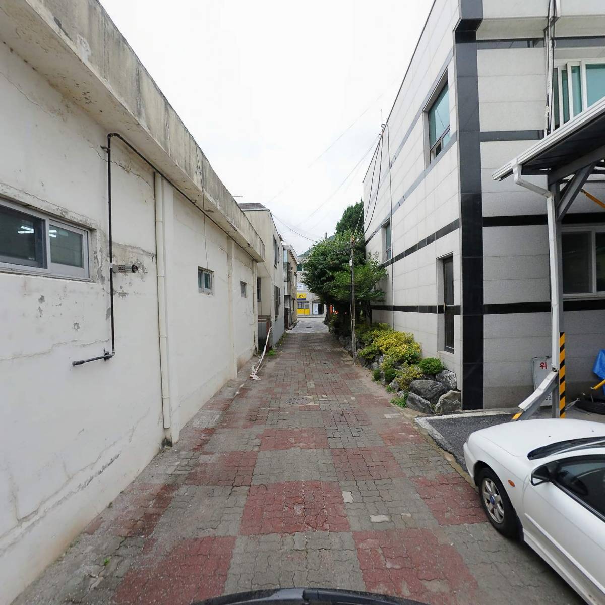 정선군 농업인단체연합회_2