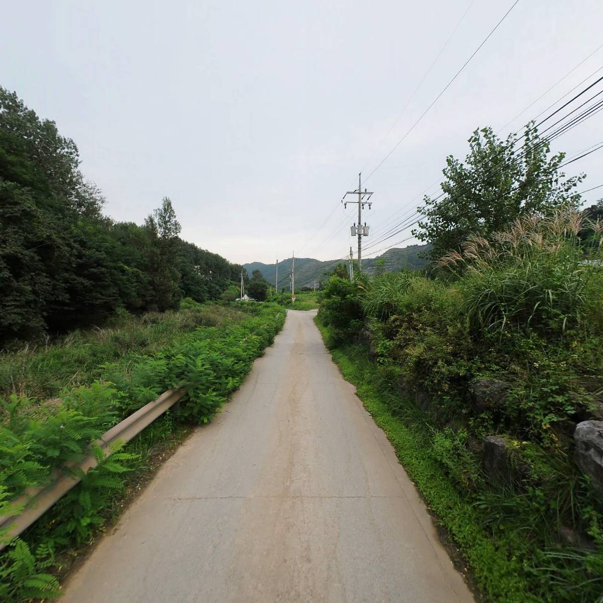주식회사 천마_2