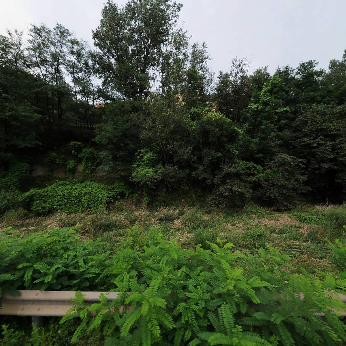 주식회사 천마