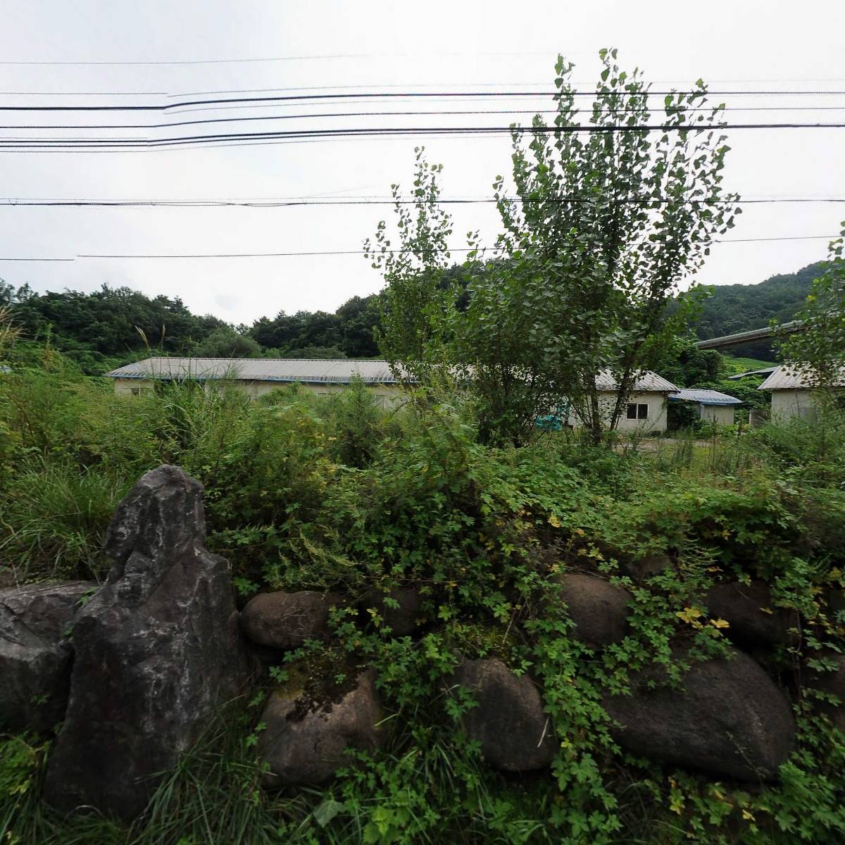 주식회사 천마_3