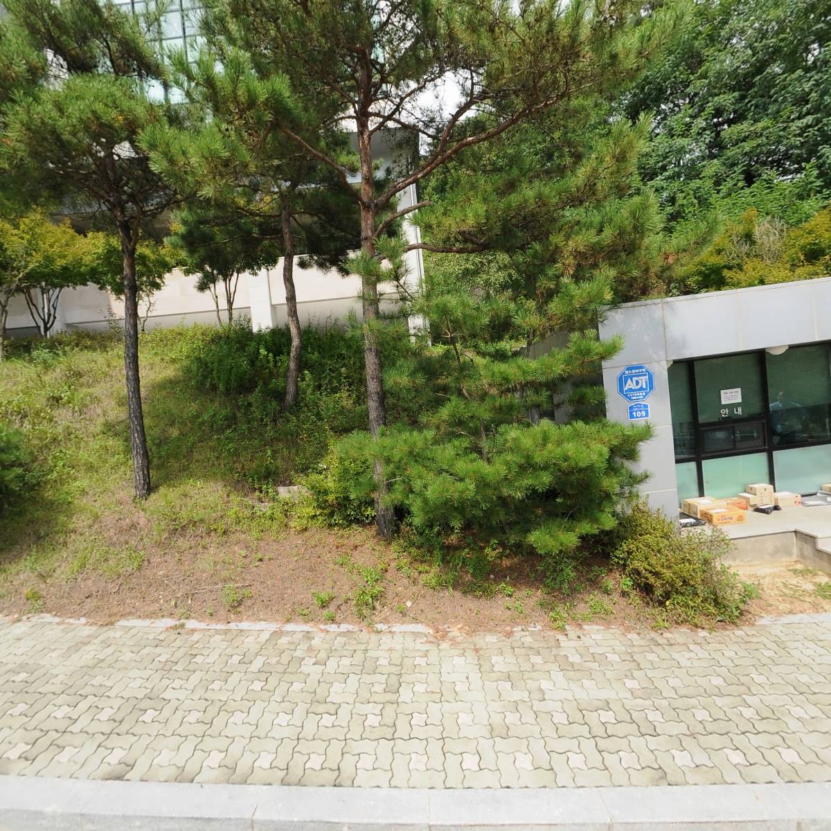 한국골프대학교