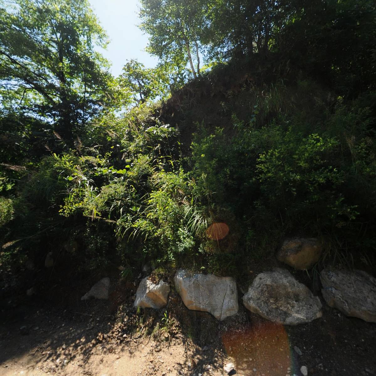 삼산4리솔애올웰빙요리연구작목반_3