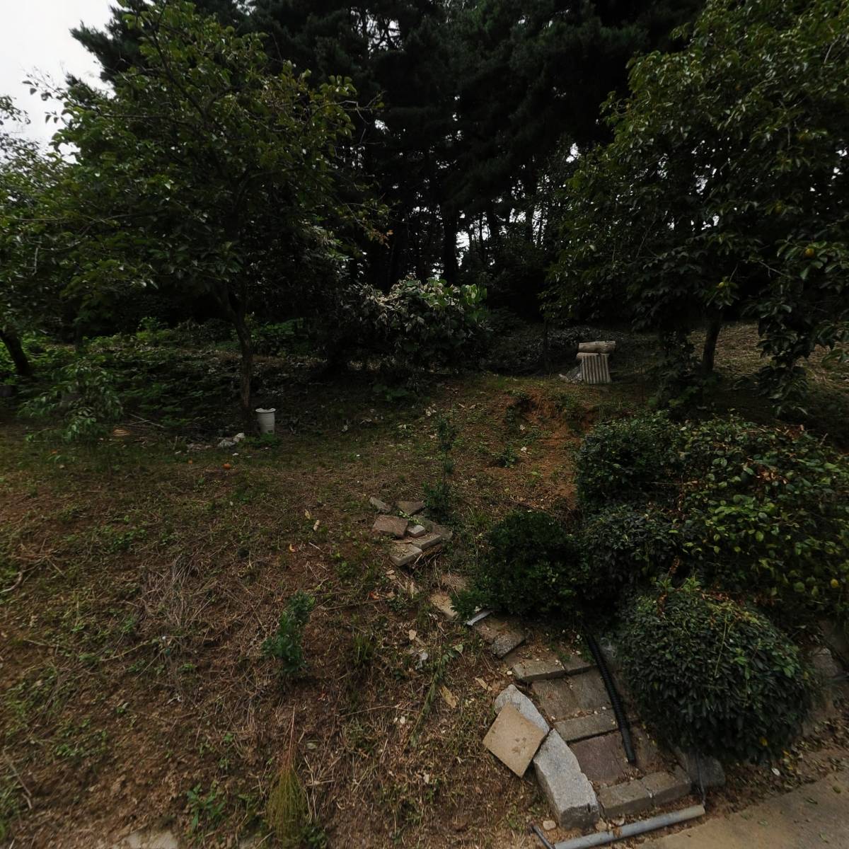 경포 솔향기펜션_3