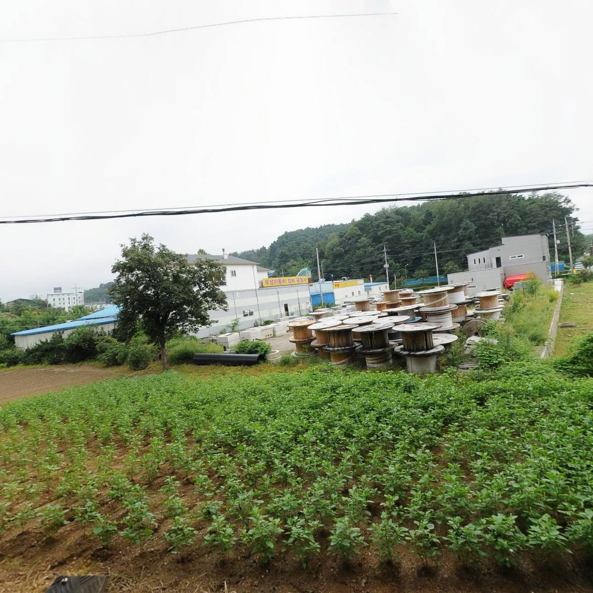 생활D,C백화점
