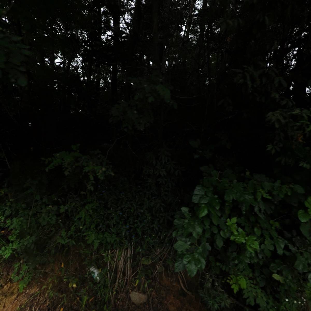 생활D,C백화점_3