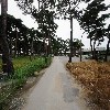 초당찰떡_2