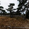초당찰떡_3
