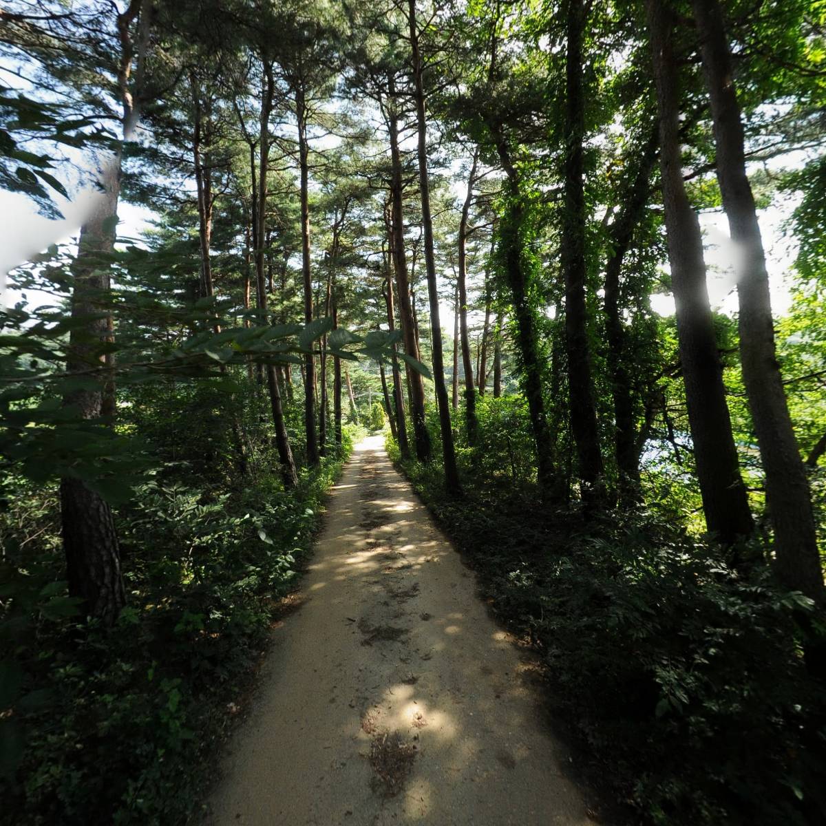 한국건설재료시험원 주식회사_2