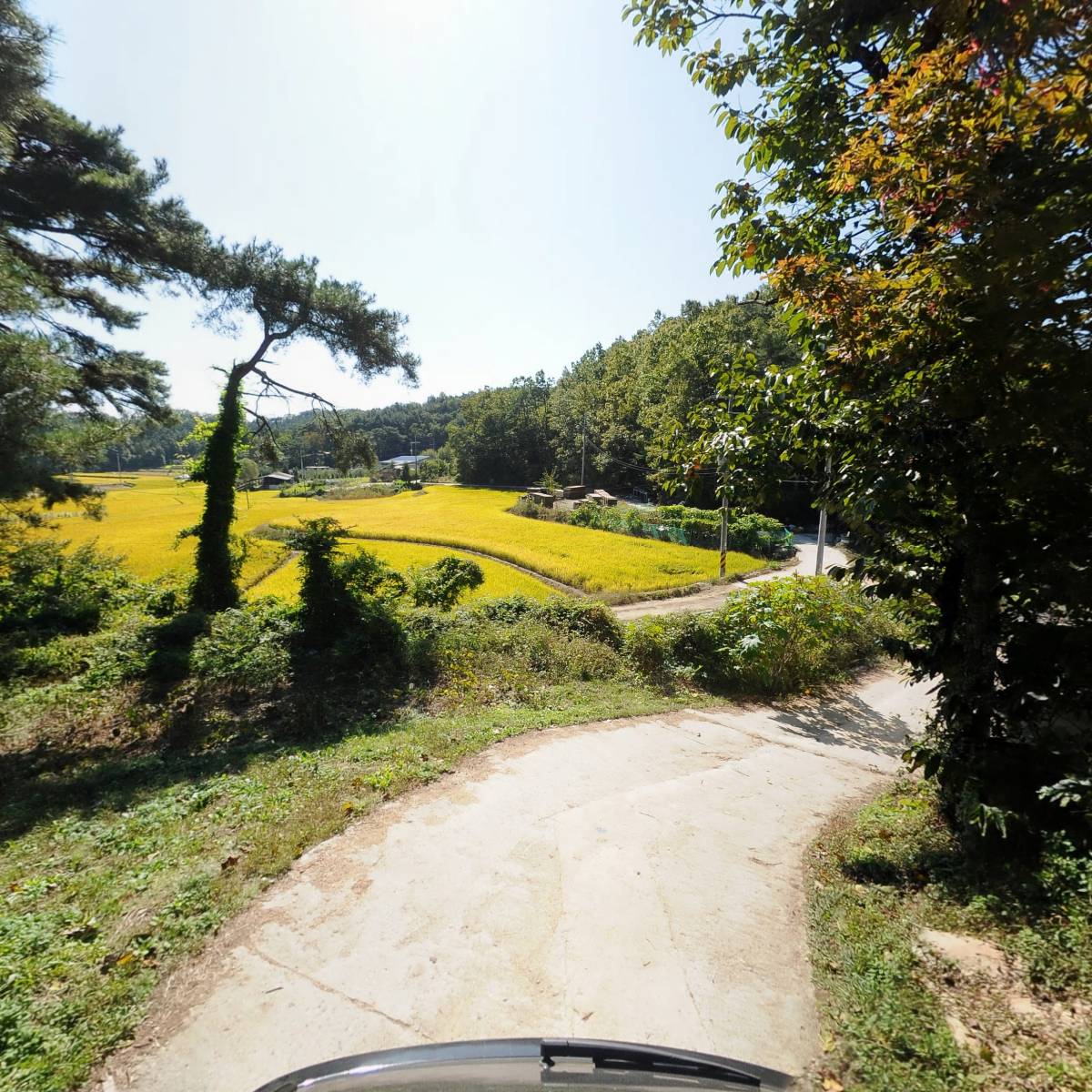 （사）대한불교선화조계종 용선사_2