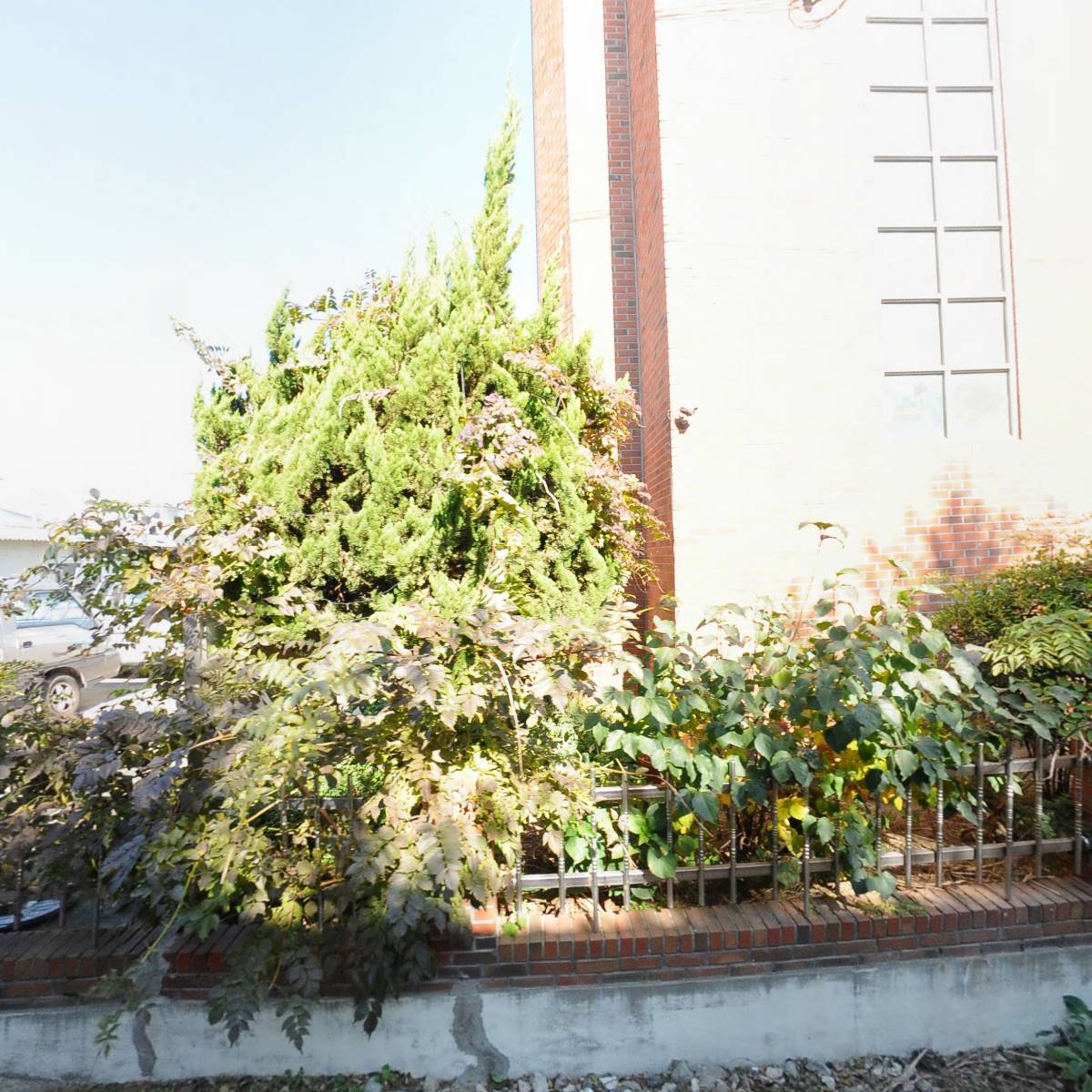 농심가신선축산_3