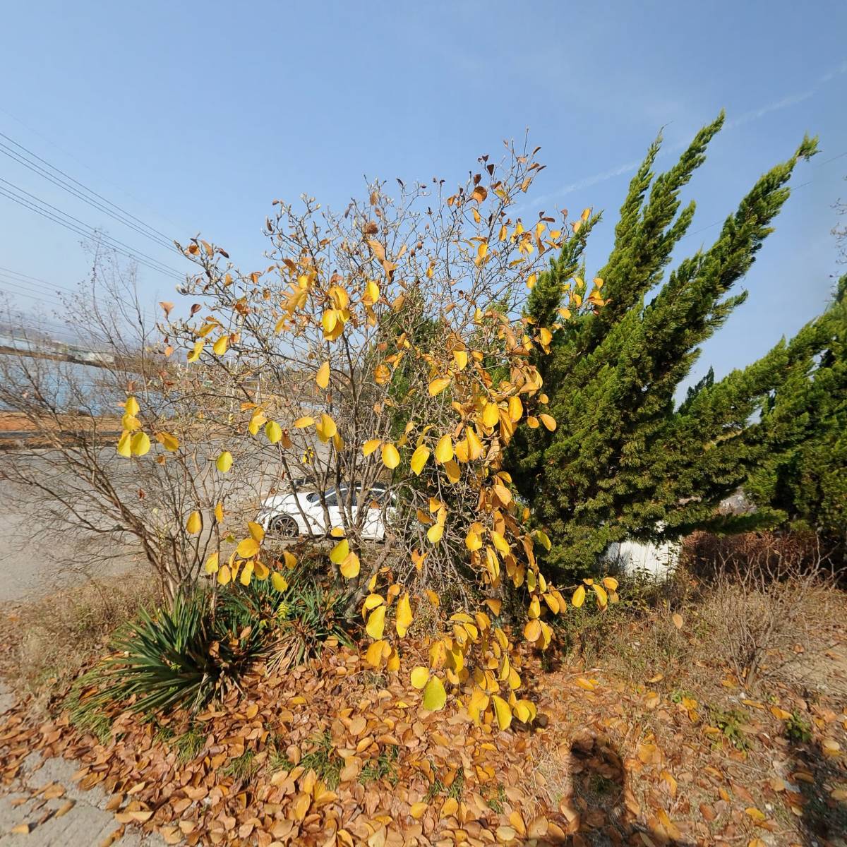 농업회사법인(주)청록_3