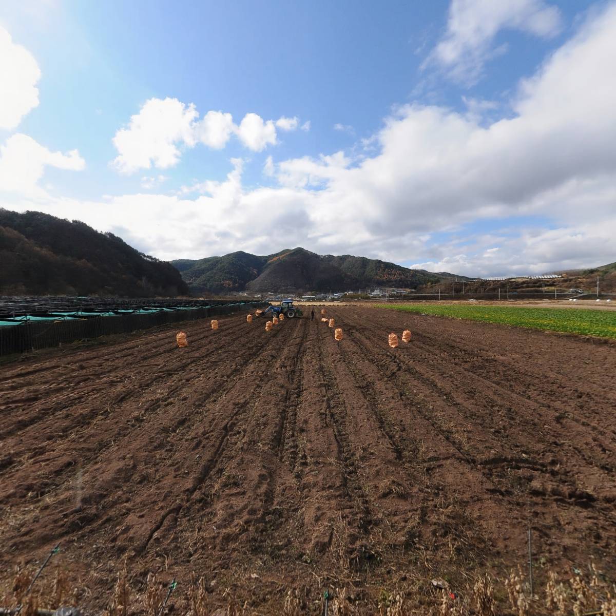 (주)대동산업