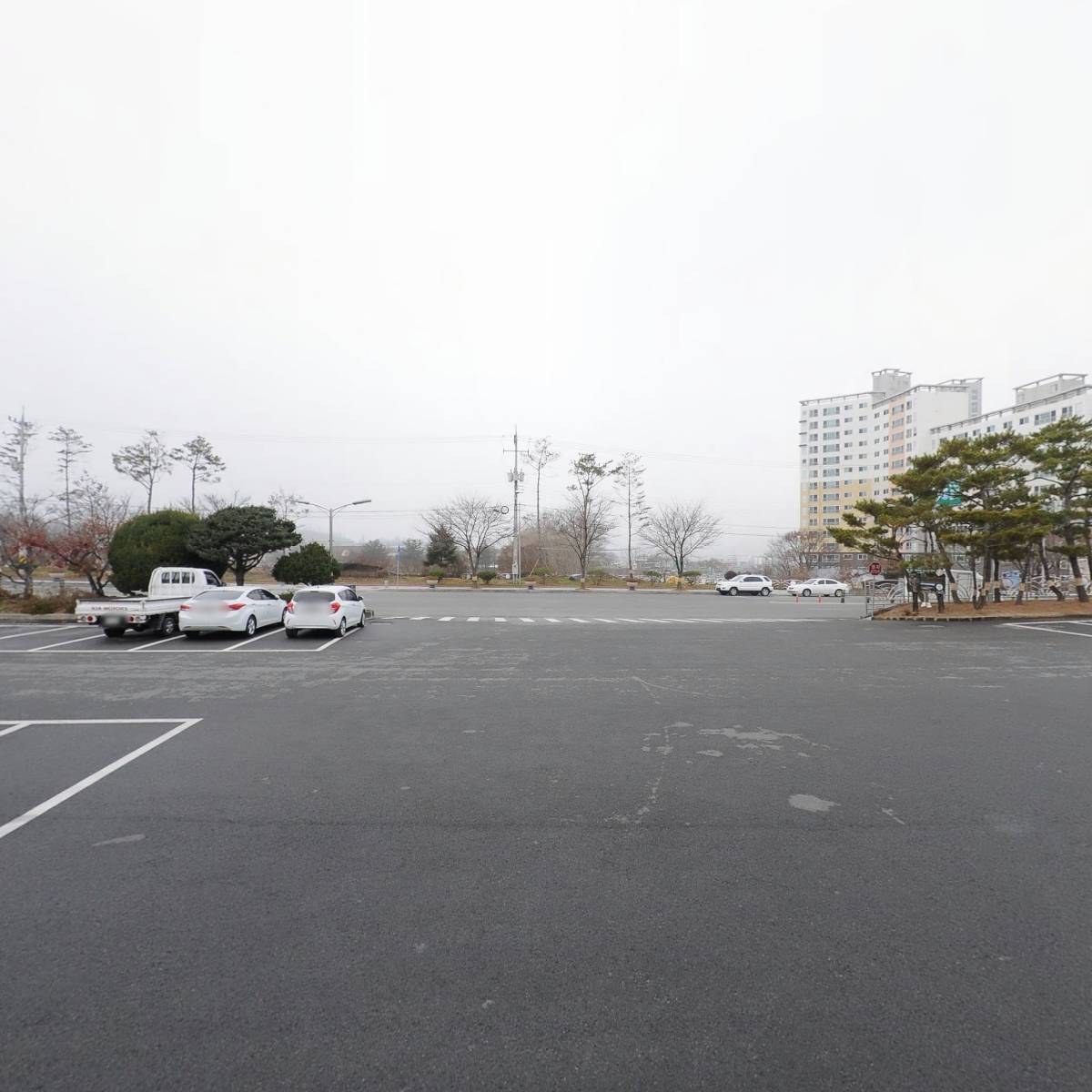 의성군체육회_3