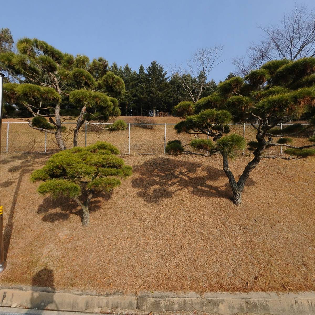 한국교원대학교 유아교육연구소