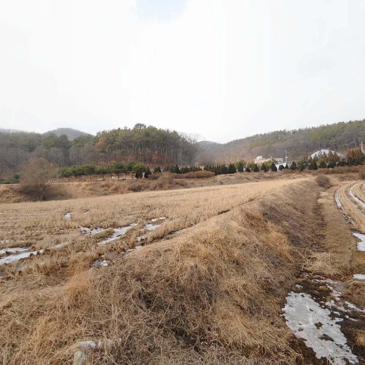 （주）세미솔루션 코리아