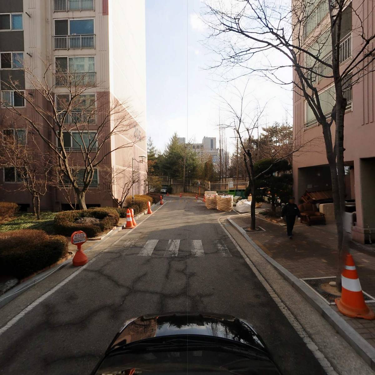 평촌베짱이_4