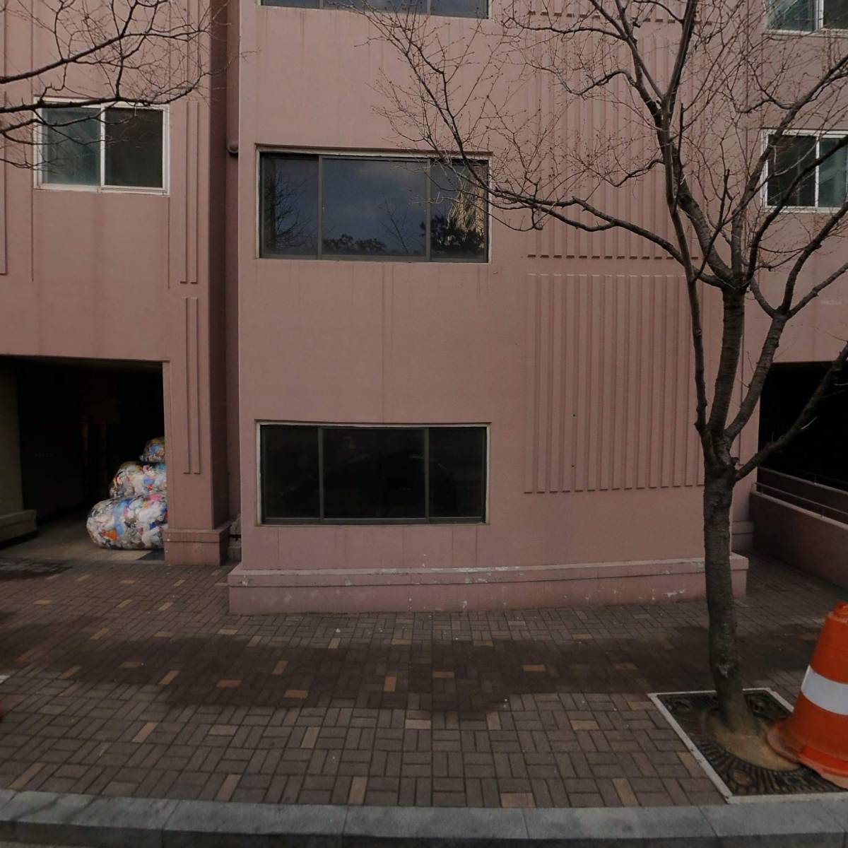 평촌베짱이