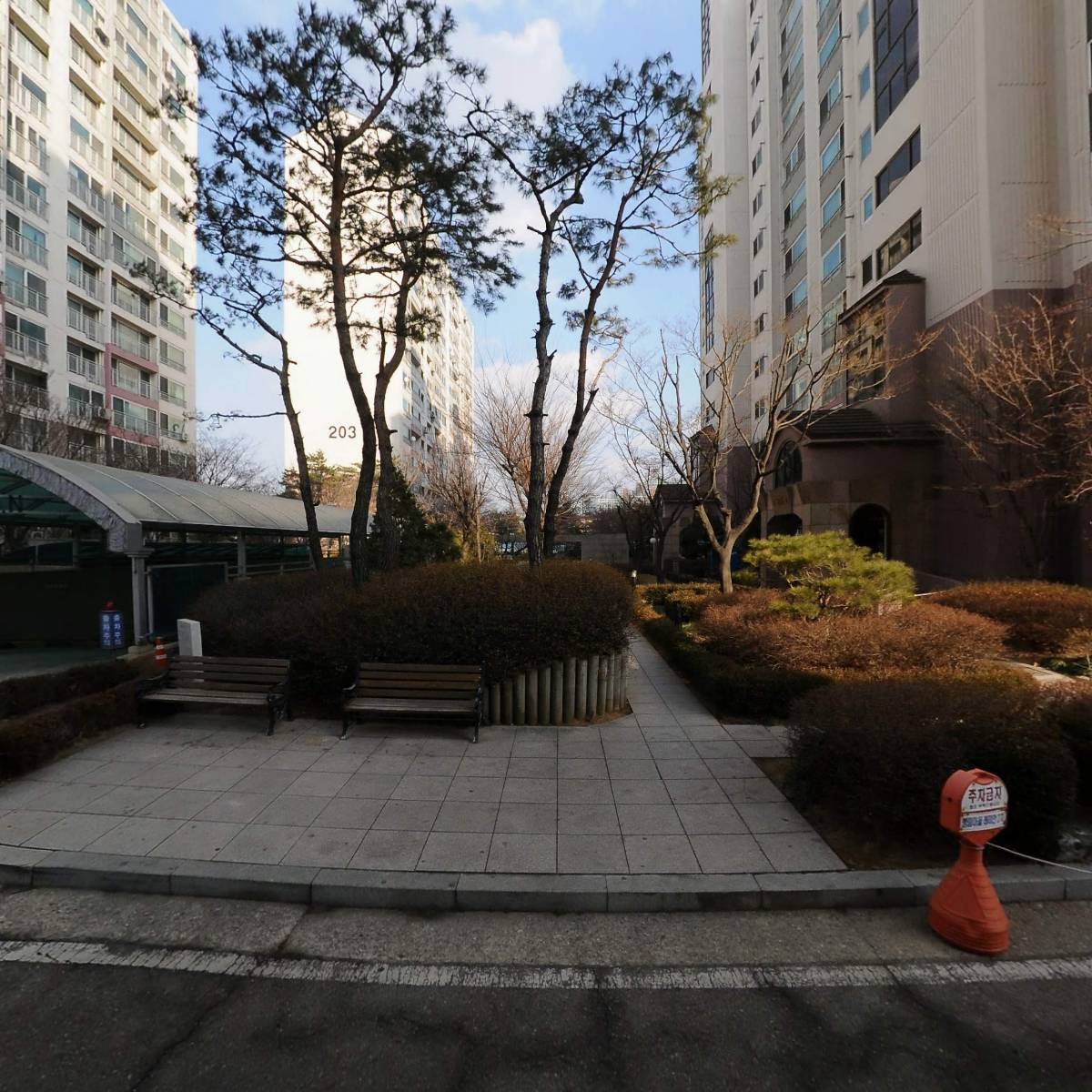 평촌베짱이_3