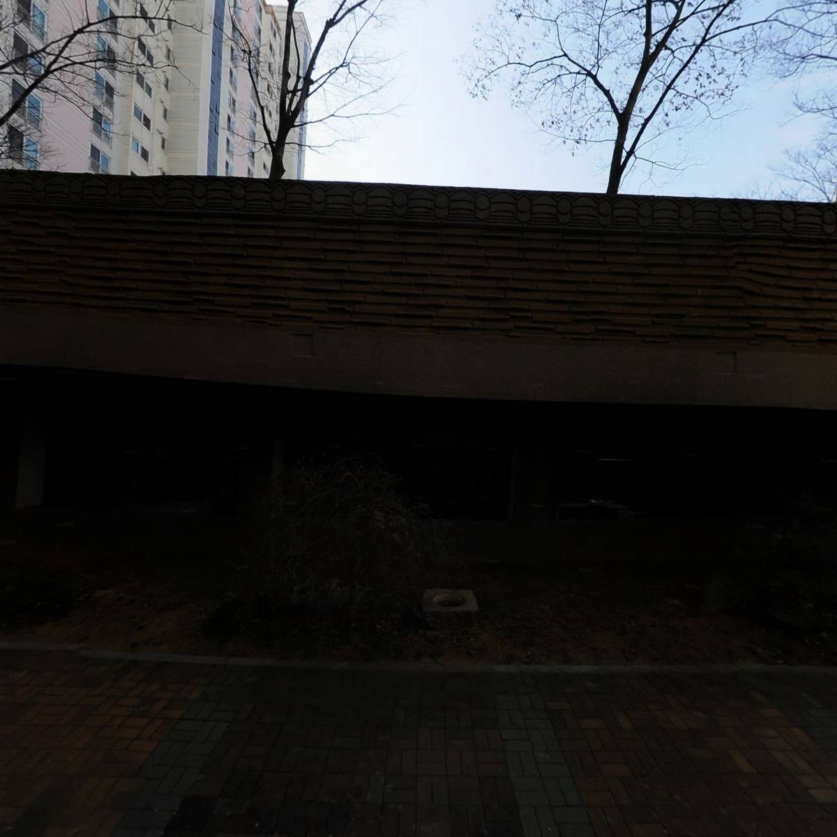 나이스카드포스