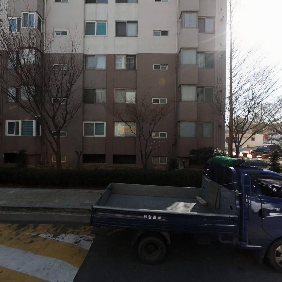 크랜베리_3