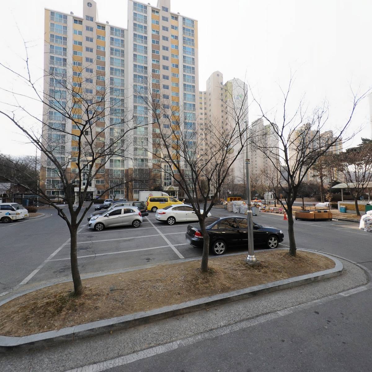 인셀덤 백투영_3
