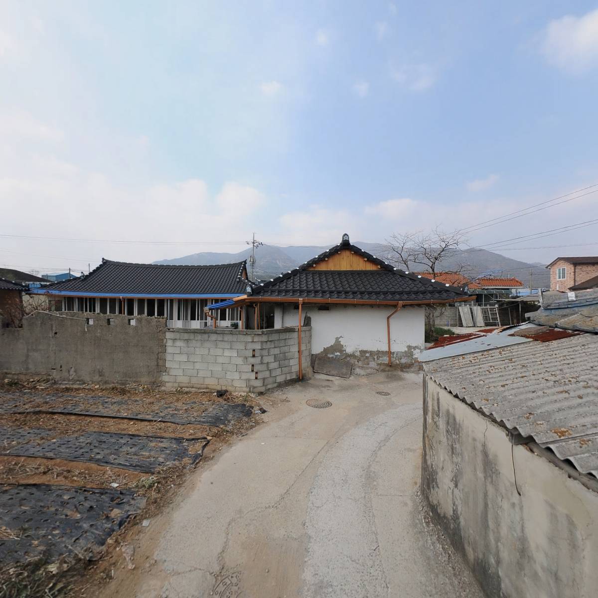 나연_2