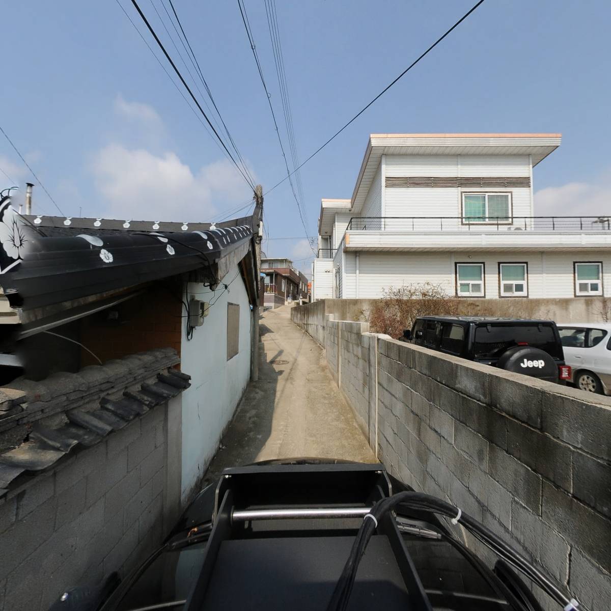 나무 움직임 연구소_4