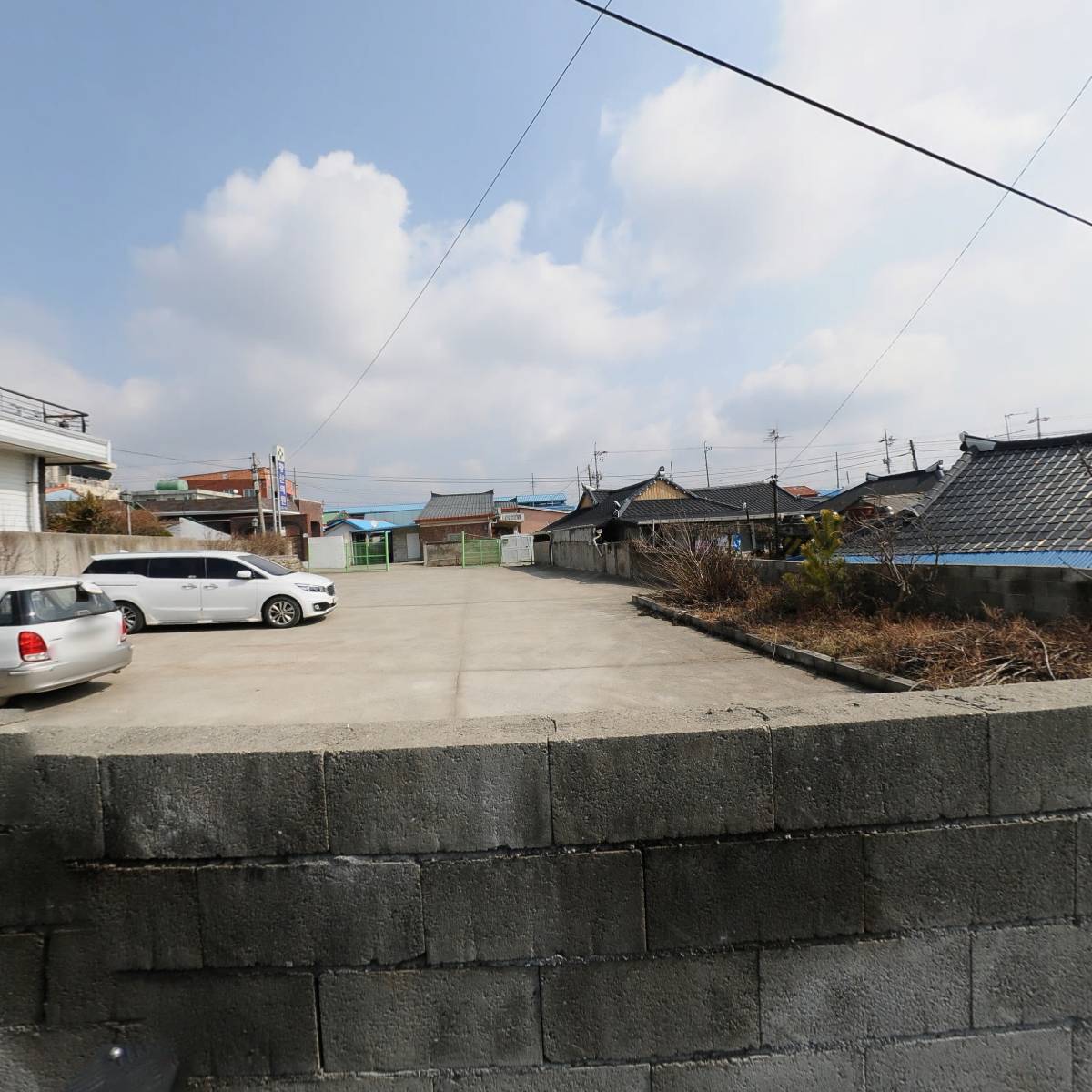 나무 움직임 연구소