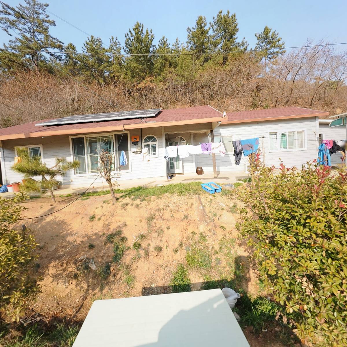 늘푸른농장