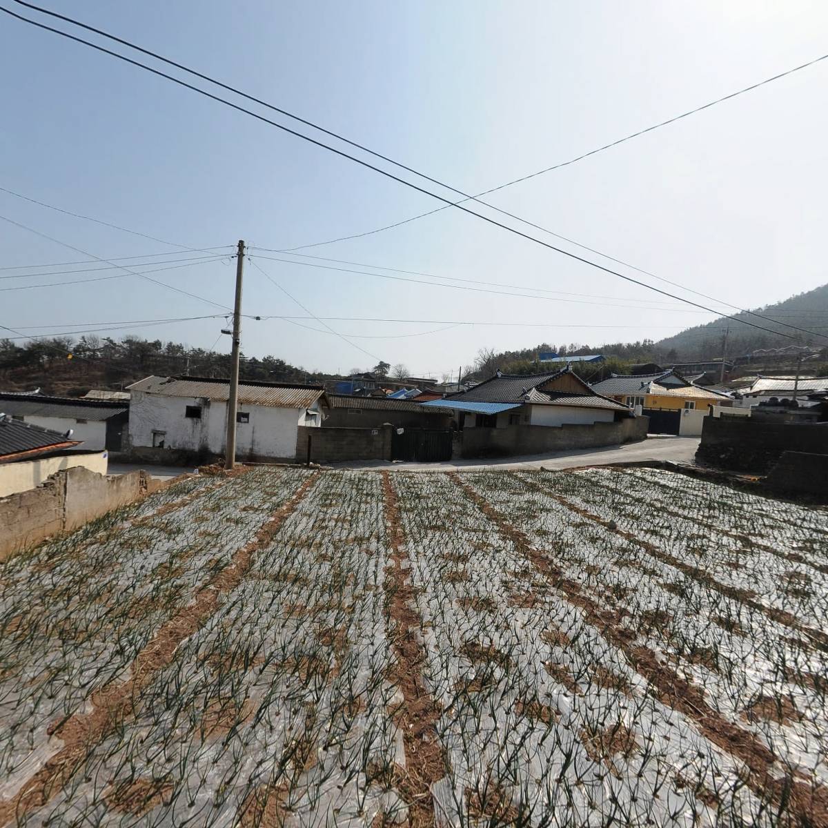 산아바다야_3