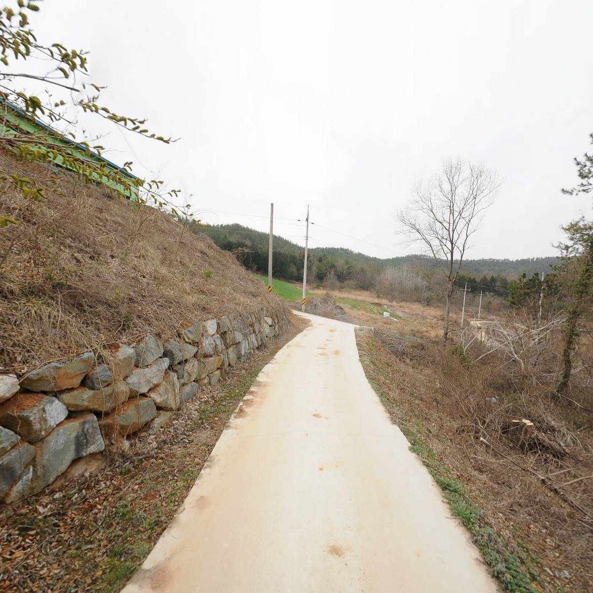 블루힐농장에이（A）_2