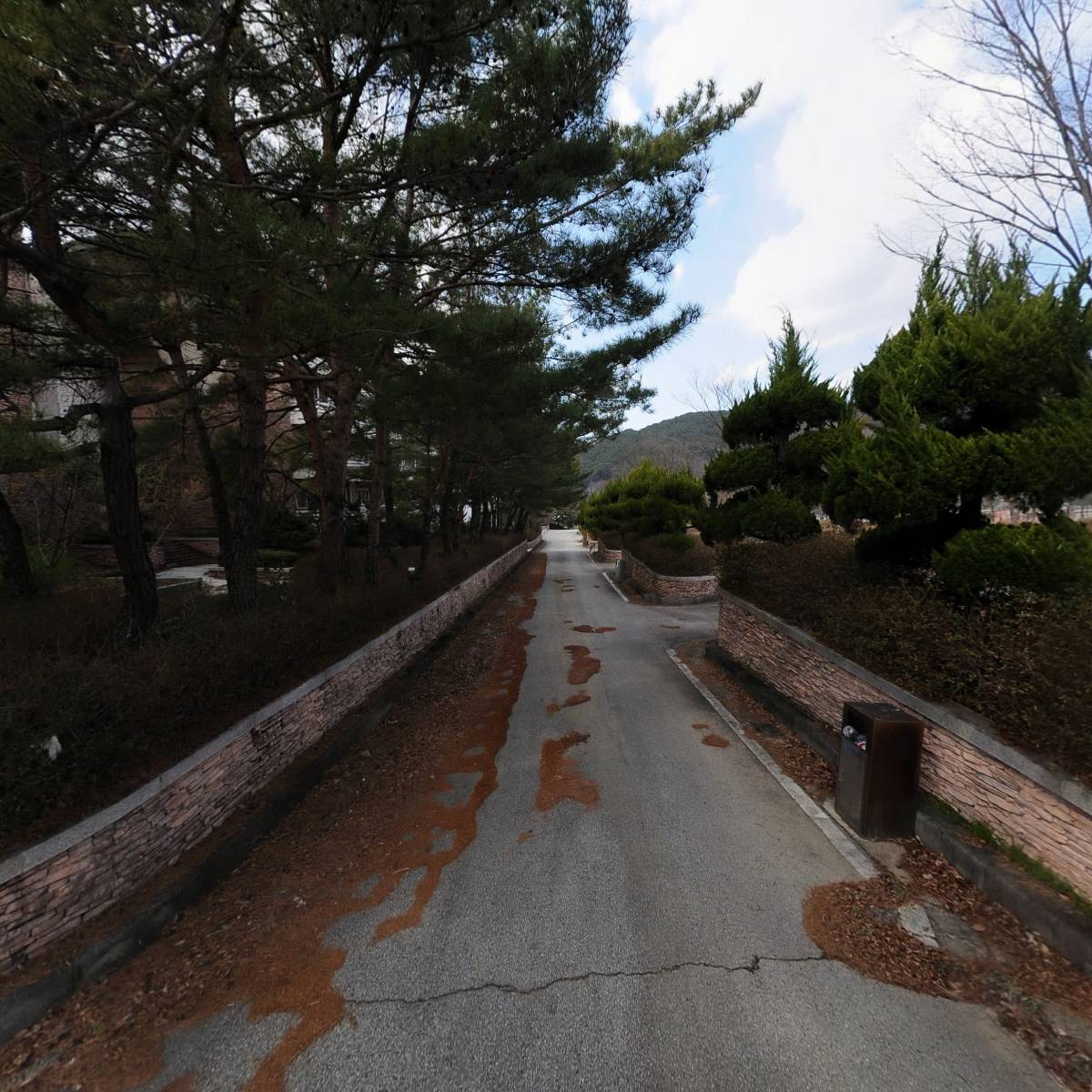 주식회사 블루썬_2